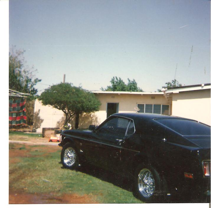 3 Mustang 1970.jpg